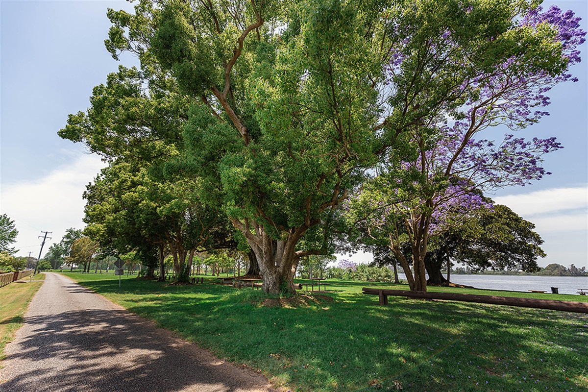 Strontian Park | Clarence Valley Council