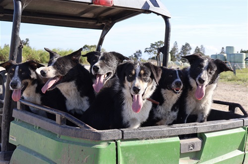 A Smith-Woodford Island Crew.jpeg